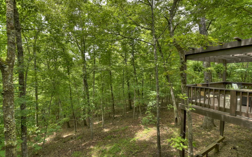1260 Chase Mountain Road Blue Ridge, GA 30513 - Photo 28 of 60 Additional View