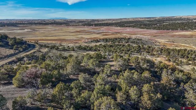a view of an ocean beach