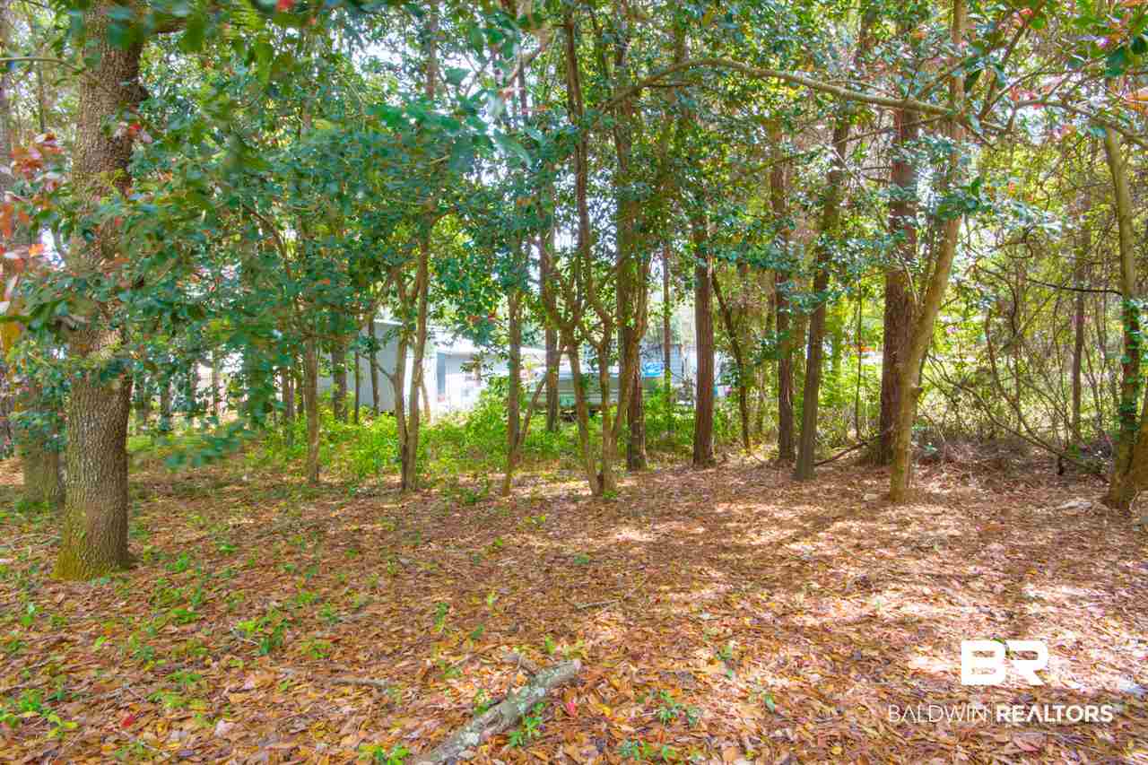 431 Elberta Loop Lillian, AL 36549 - Photo 27 of 27
