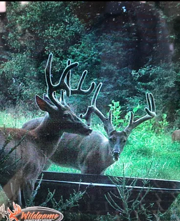 $925,000 | 510B Rogues Fork Road, Bethpage, TN 37022