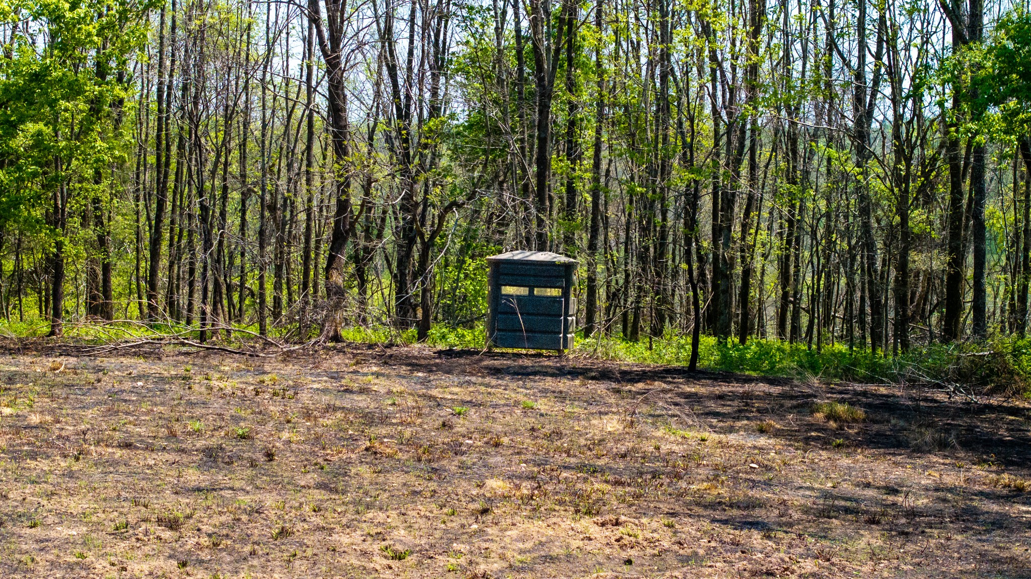 510B Rogues Fork Road Bethpage, TN 37022 - Photo 13 of 36
