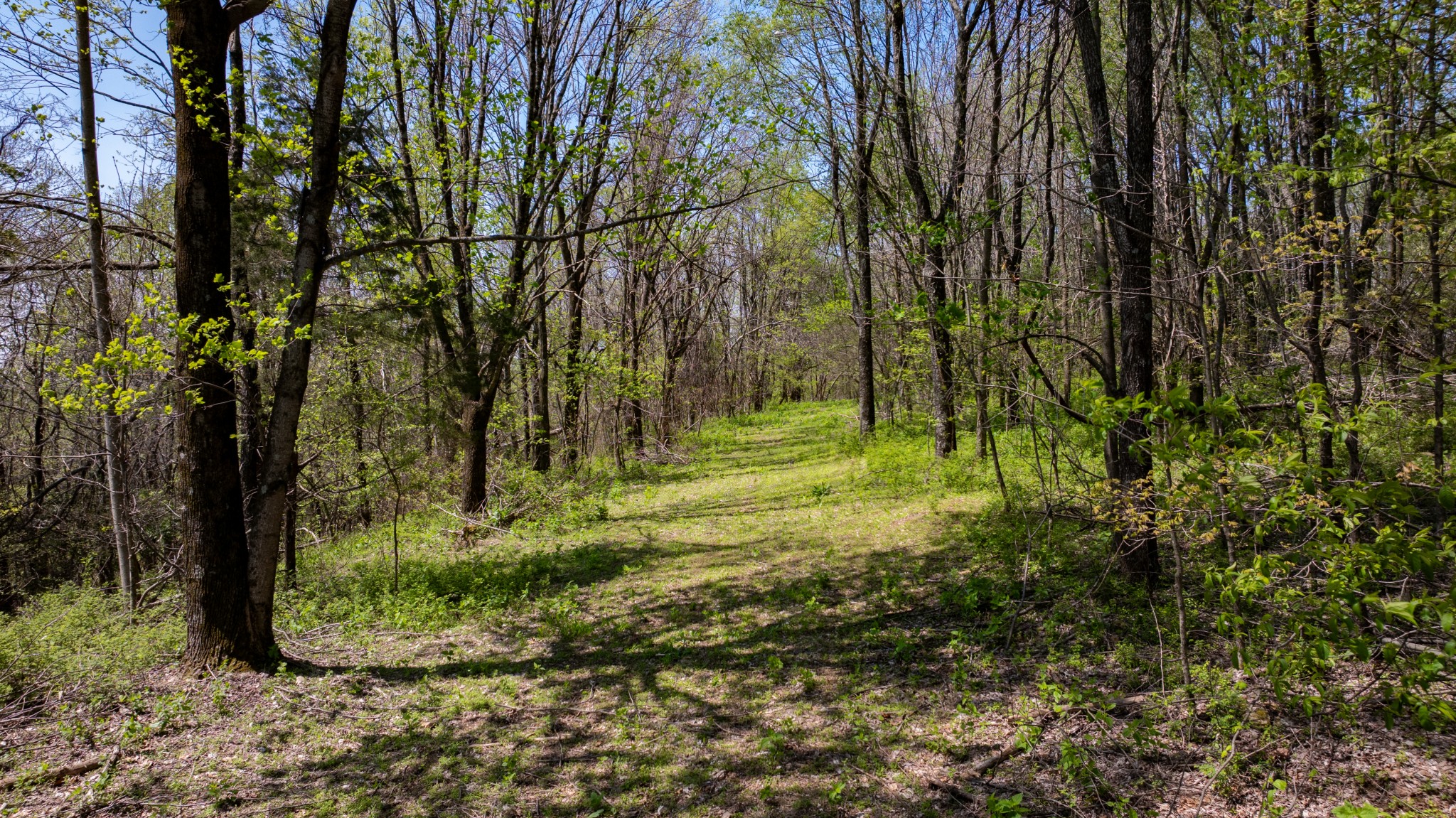 510B Rogues Fork Road Bethpage, TN 37022 - Photo 16 of 36