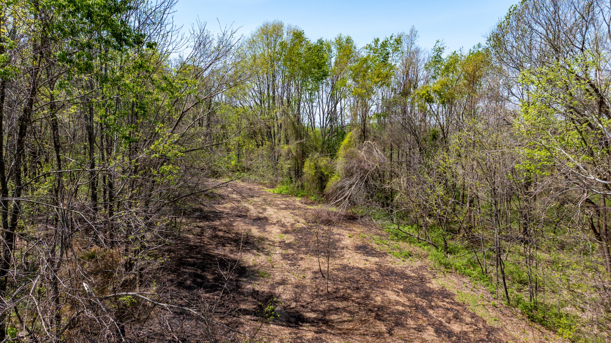 510B Rogues Fork Road Bethpage, TN 37022 - Photo 20 of 36 a view of a yard with trees