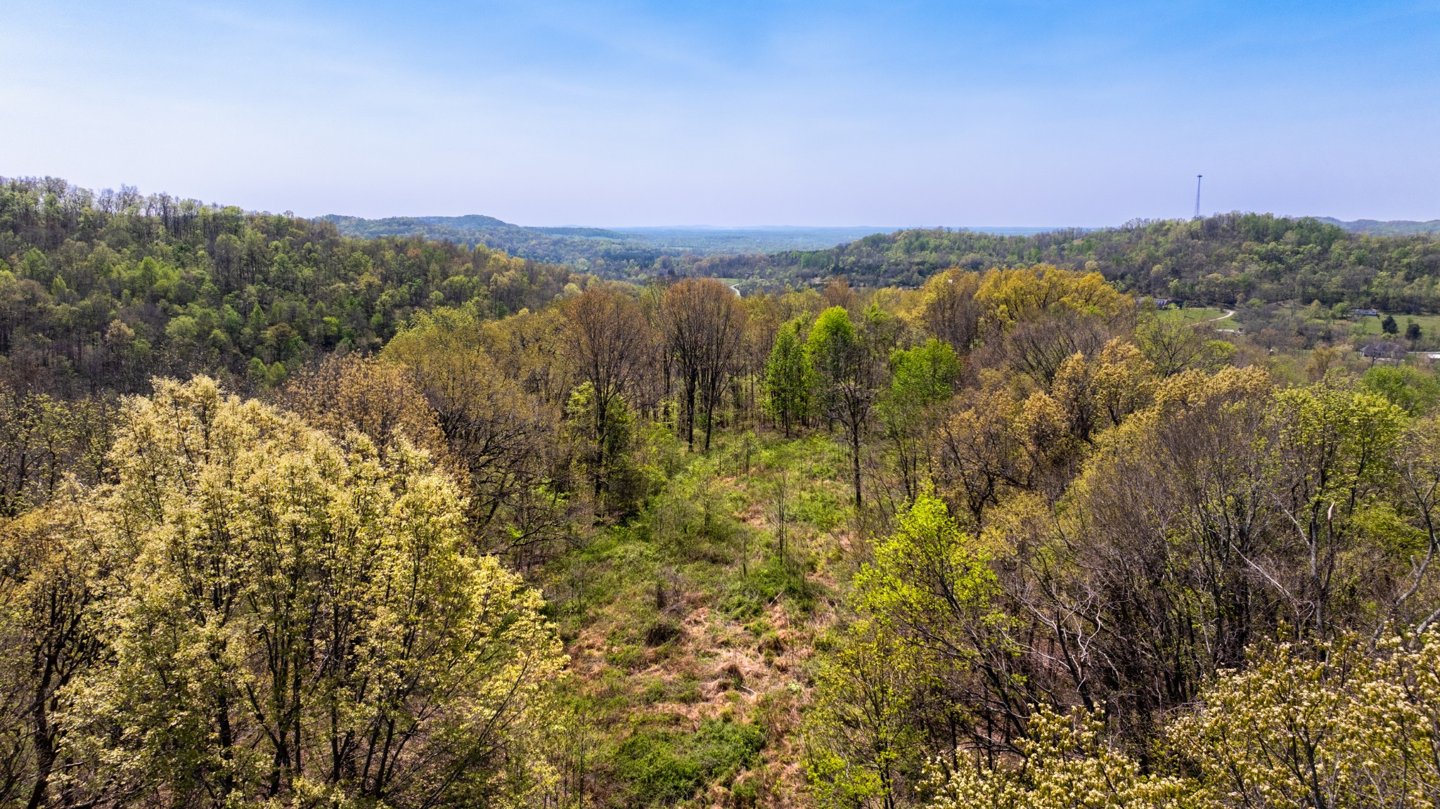 510B Rogues Fork Road Bethpage, TN 37022 - Photo 21 of 36 a view of lake and mountain