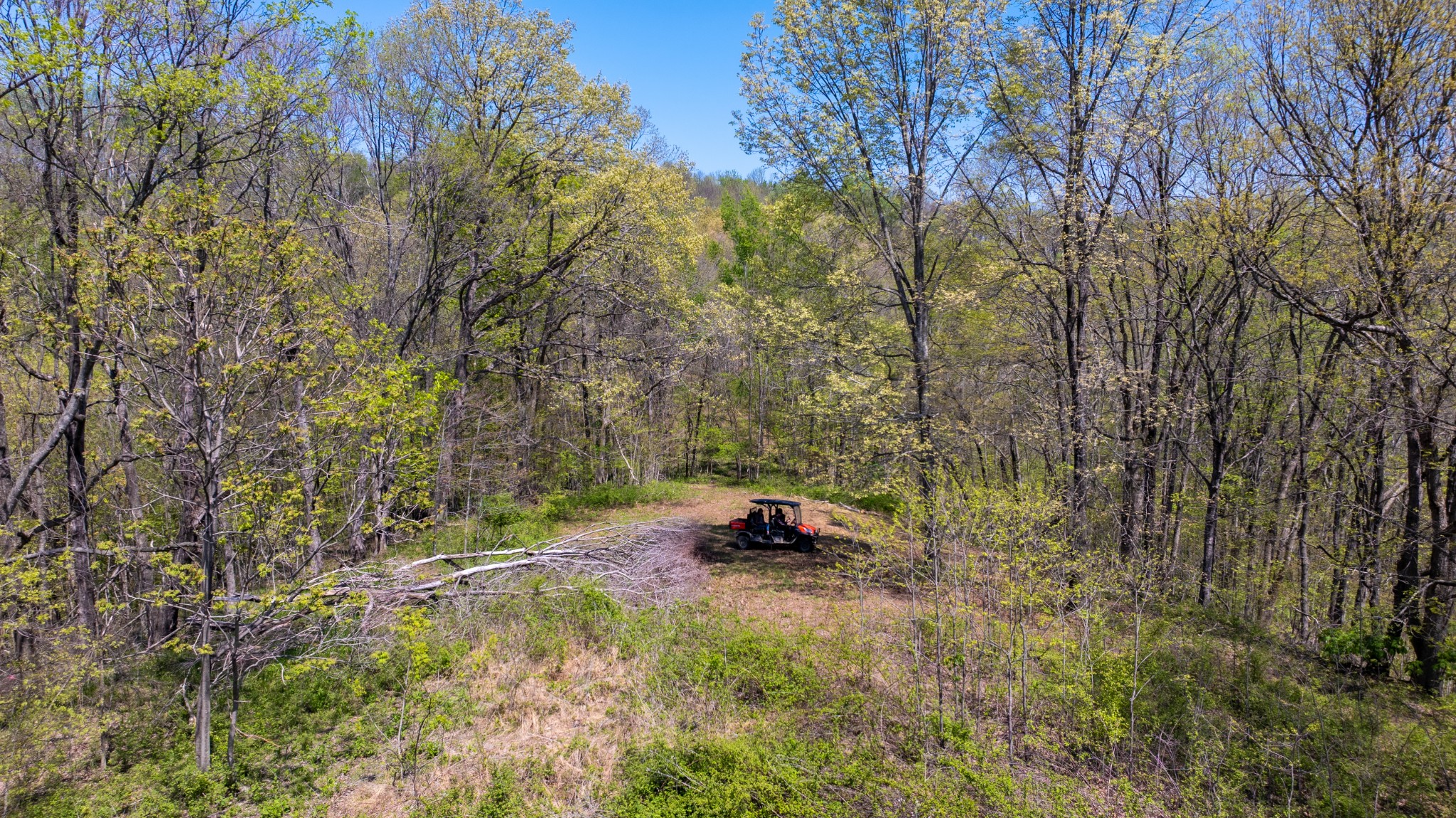 510B Rogues Fork Road Bethpage, TN 37022 - Photo 22 of 36 a backyard of a house with trees and wooden fence