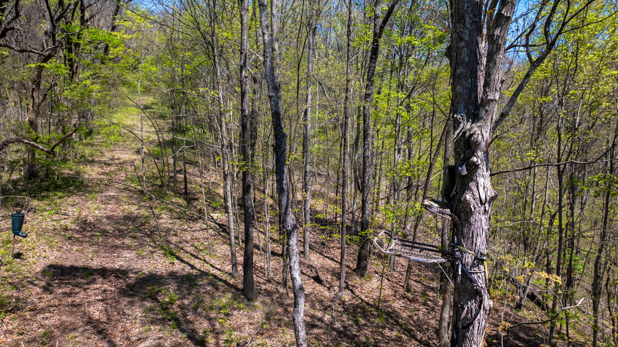 510B Rogues Fork Road Bethpage, TN 37022 - Photo 24 of 36