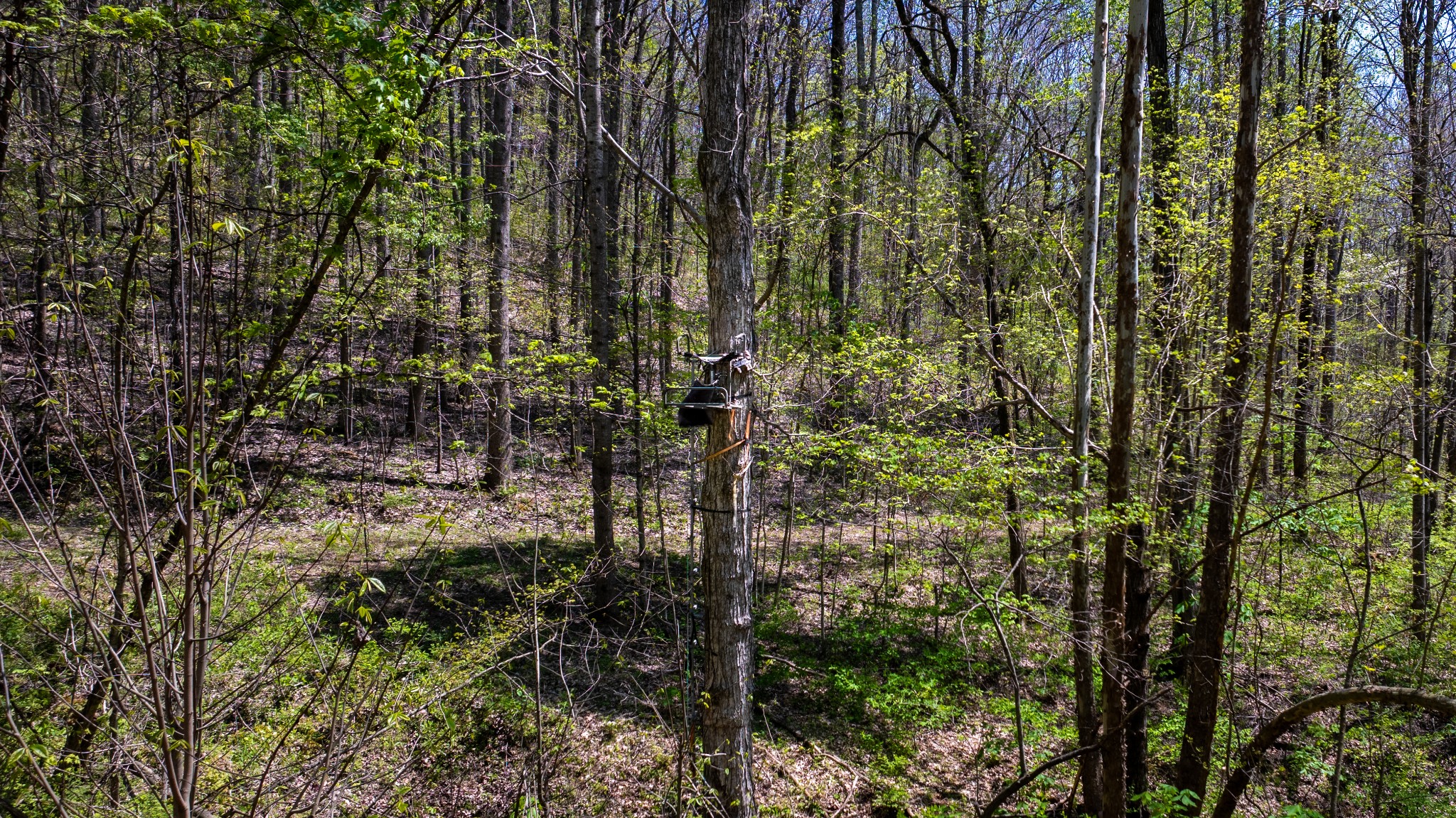 510B Rogues Fork Road Bethpage, TN 37022 - Photo 25 of 36 a view of outdoor space and garden