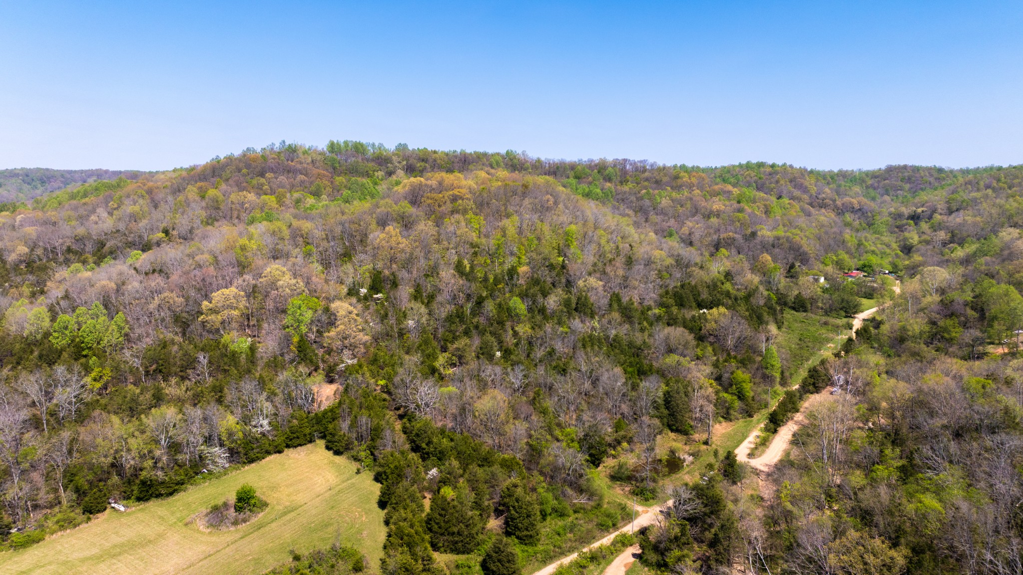 510B Rogues Fork Road Bethpage, TN 37022 - Photo 3 of 36