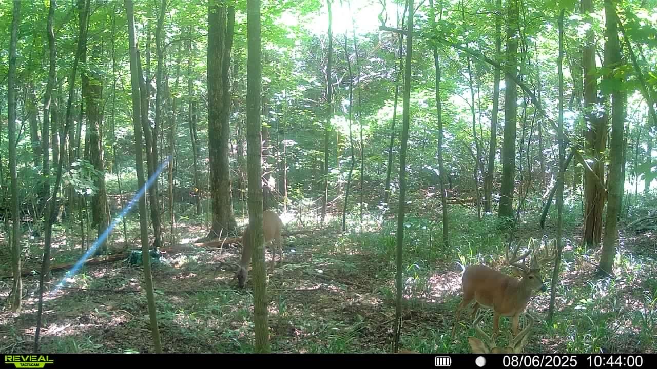 510B Rogues Fork Road Bethpage, TN 37022 - Photo 3 of 8