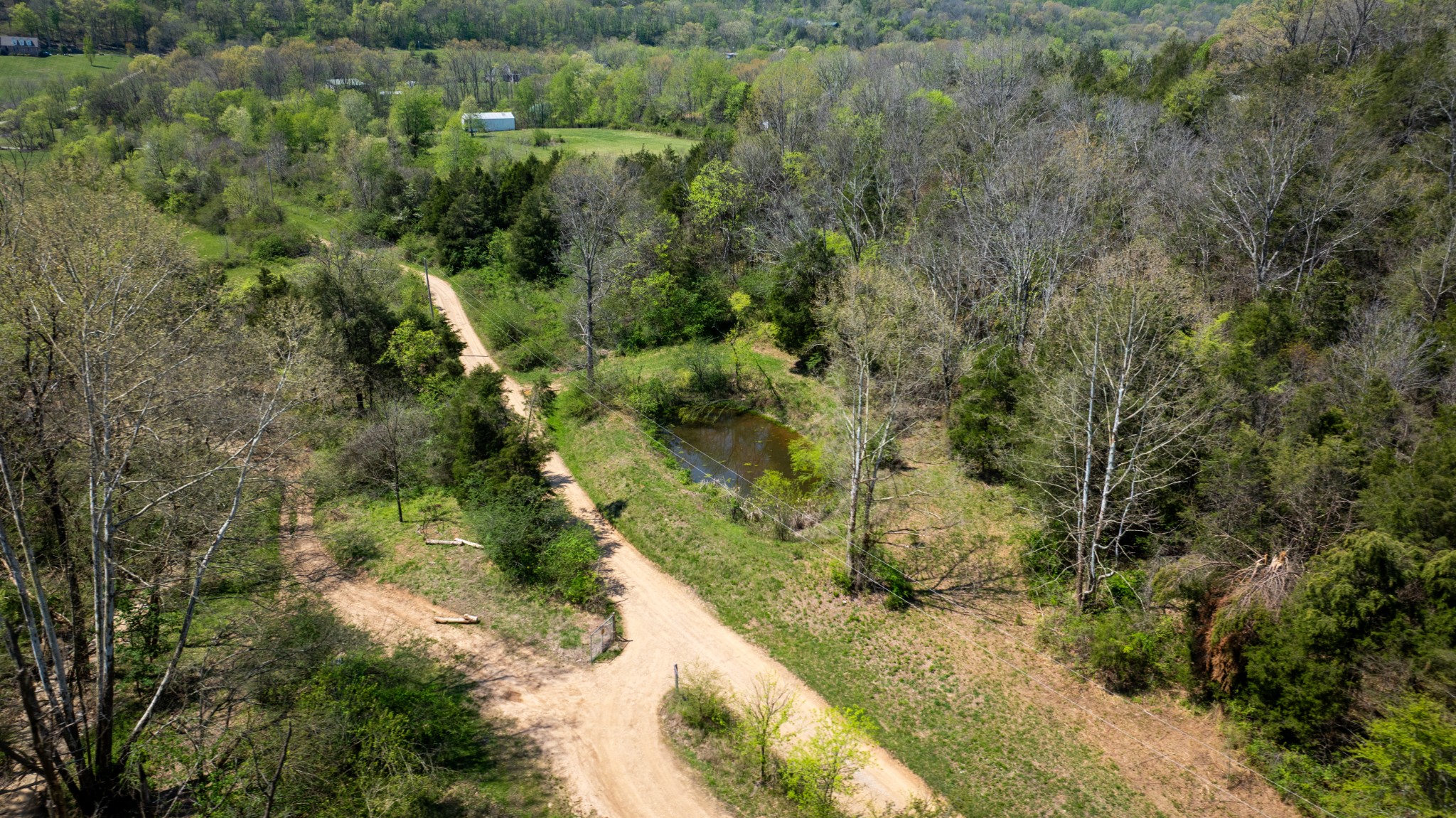 510B Rogues Fork Road Bethpage, TN 37022 - Photo 33 of 36 a view of a forest with a forest