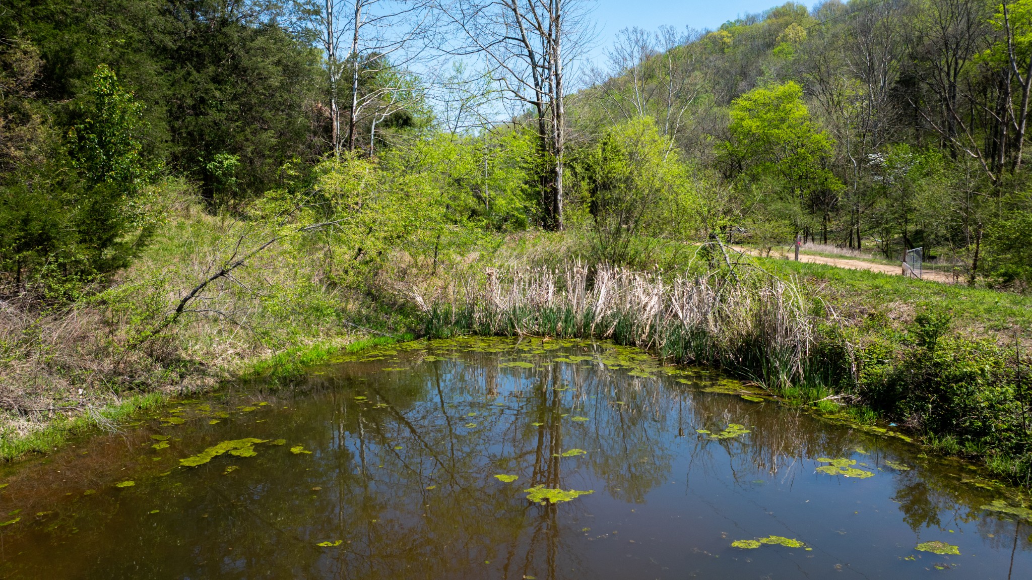 510B Rogues Fork Road Bethpage, TN 37022 - Photo 35 of 36