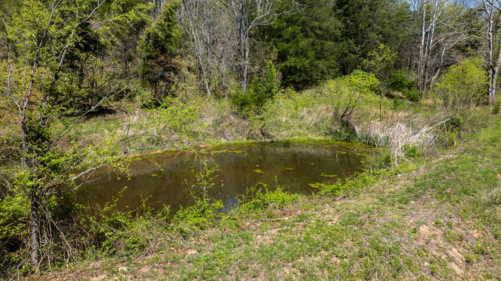 510B Rogues Fork Road Bethpage, TN 37022 - Photo 36 of 36