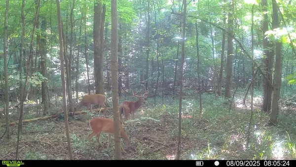 $925,000 | 510B Rogues Fork Road, Bethpage, TN 37022