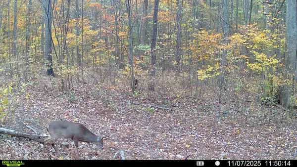 $925,000 | 510B Rogues Fork Road, Bethpage, TN 37022