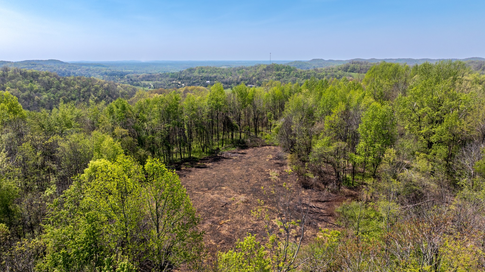 510B Rogues Fork Road Bethpage, TN 37022 - Photo 7 of 36 a view of a city with lush green forest