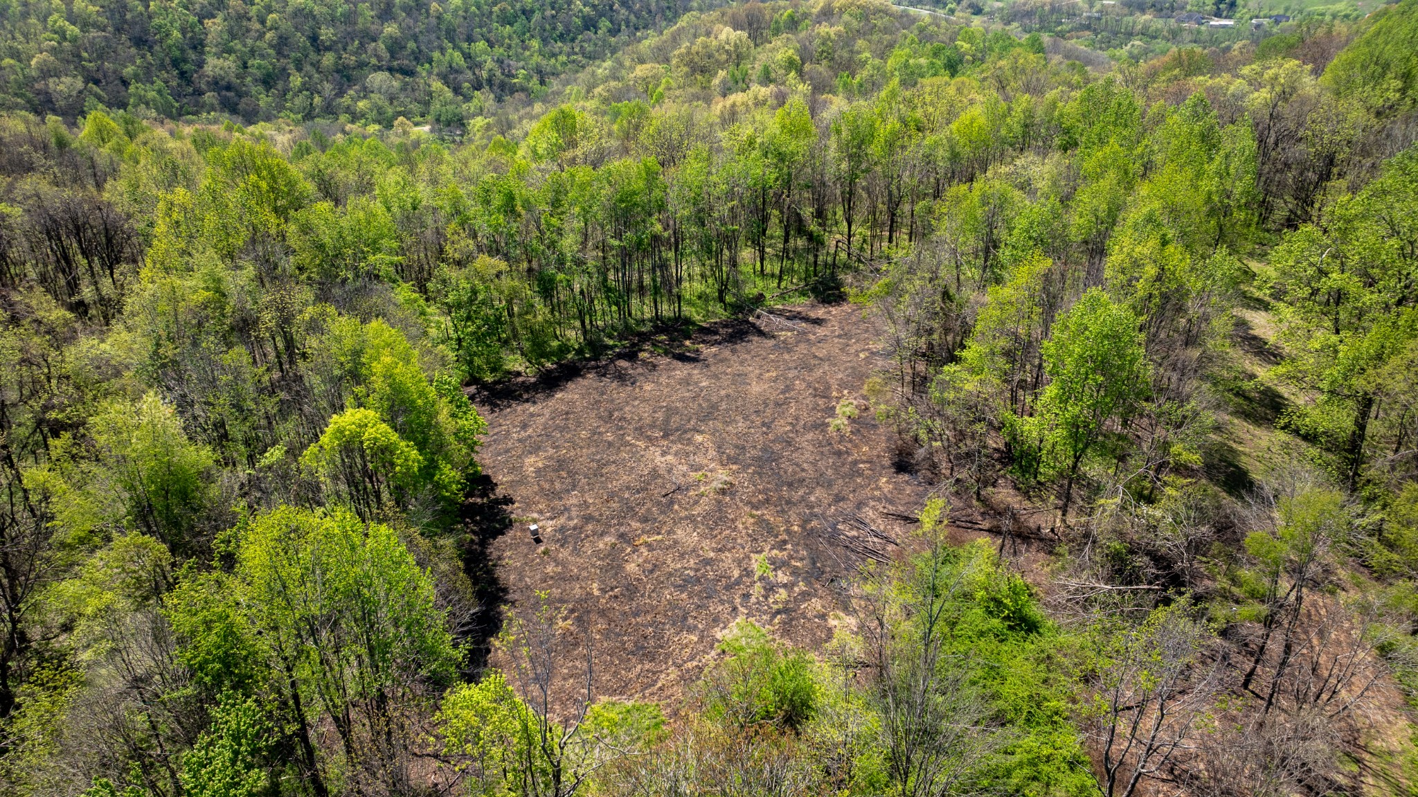 510B Rogues Fork Road Bethpage, TN 37022 - Photo 8 of 36