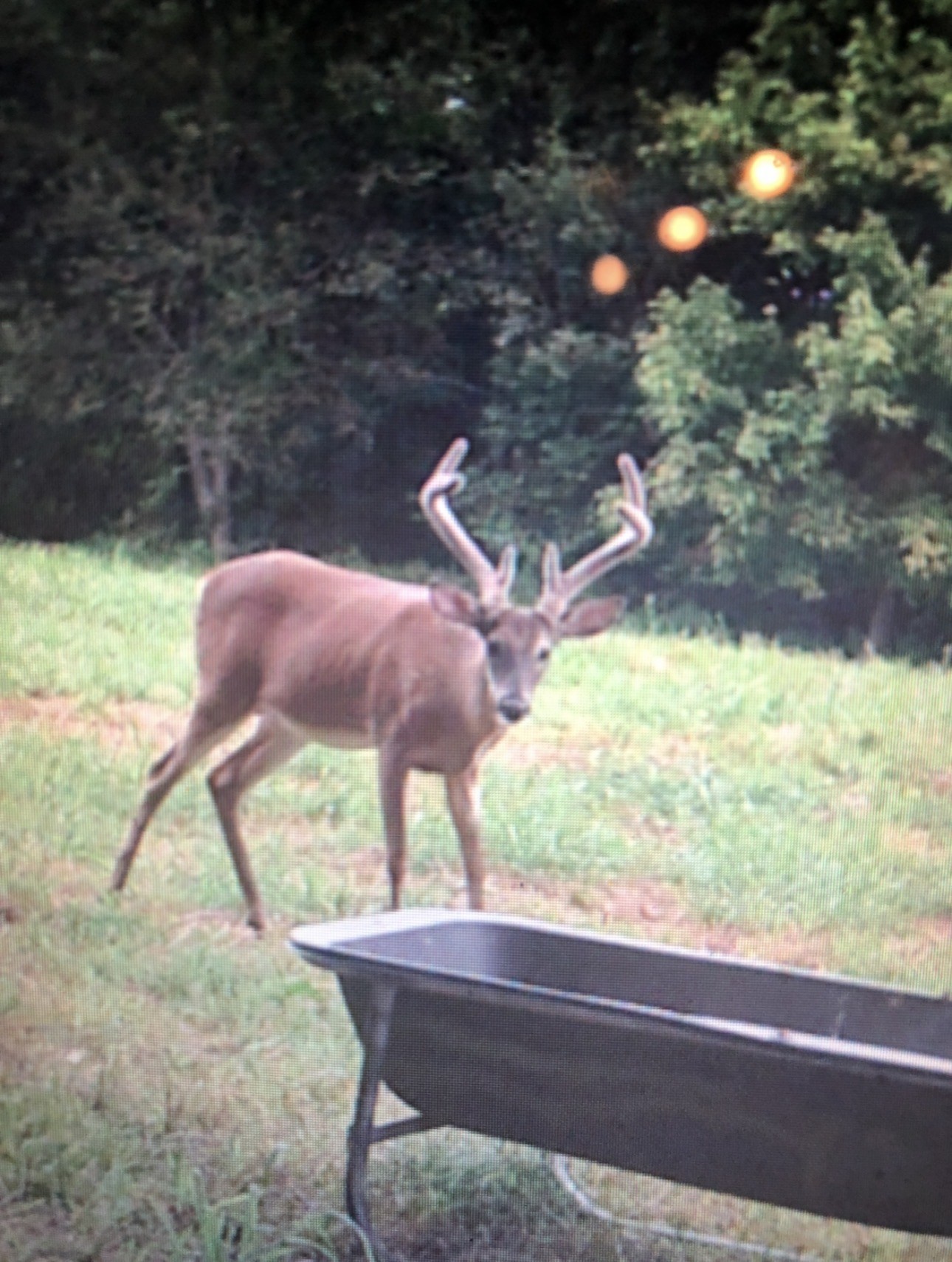 510B Rogues Fork Road Bethpage, TN 37022 - Photo 8 of 8