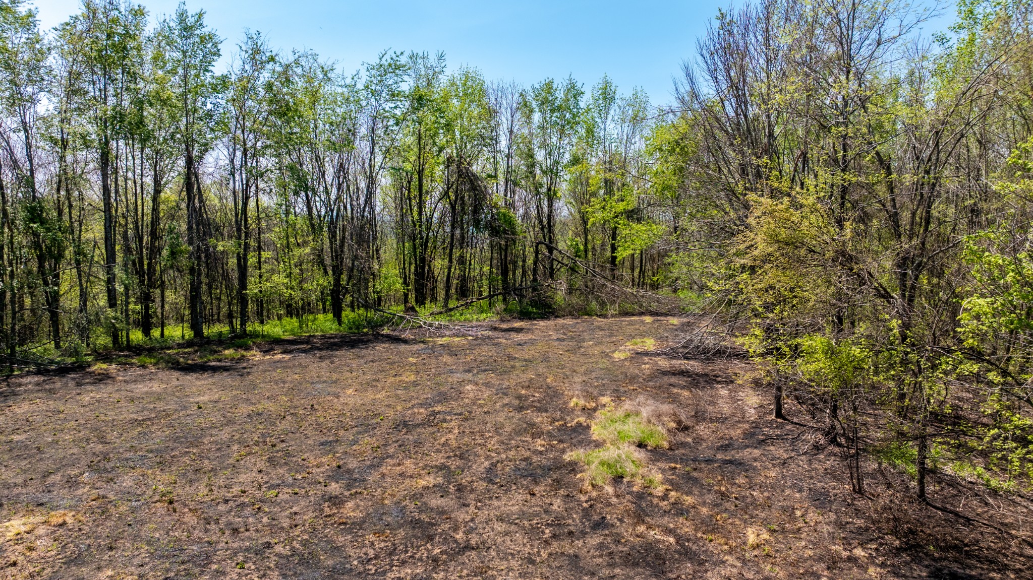 510B Rogues Fork Road Bethpage, TN 37022 - Photo 10 of 36