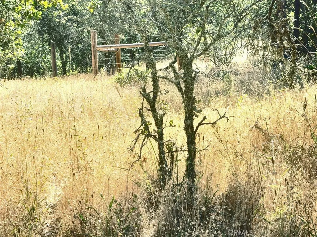 0 Texas Hill Road Oregon House, CA 95962 - Photo 20 of 33