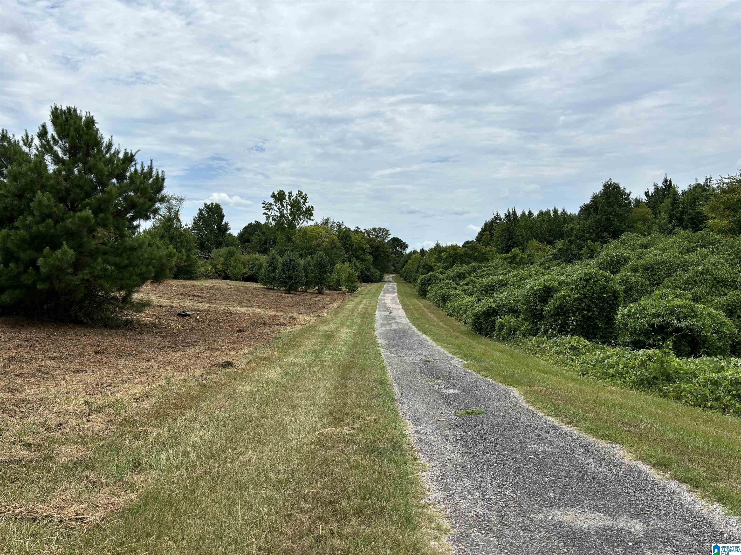 8988 Bagley Road, Unit 1 Dora, AL 35062 - Photo 8 of 8