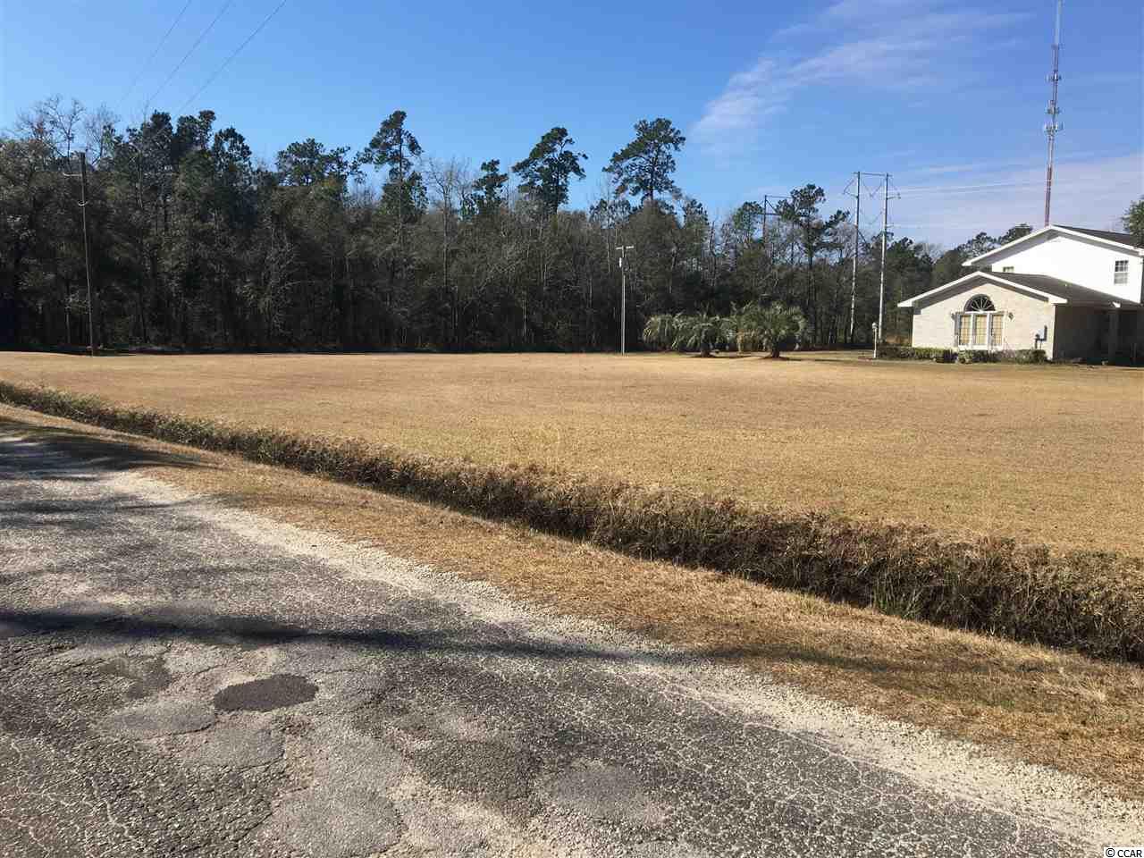 Tract B Choppee Road Georgetown, SC 29440 - Photo 3 of 8 Gallery Image 3