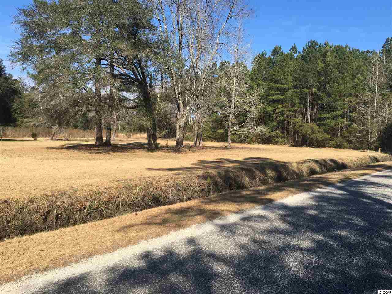 Tract B Choppee Road Georgetown, SC 29440 - Photo 4 of 8 Gallery Image 4