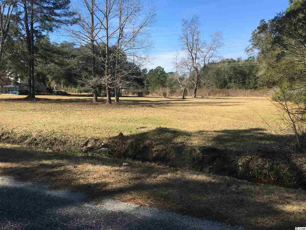 Tract B Choppee Road Georgetown, SC 29440 - Photo 5 of 8 Gallery Image 5