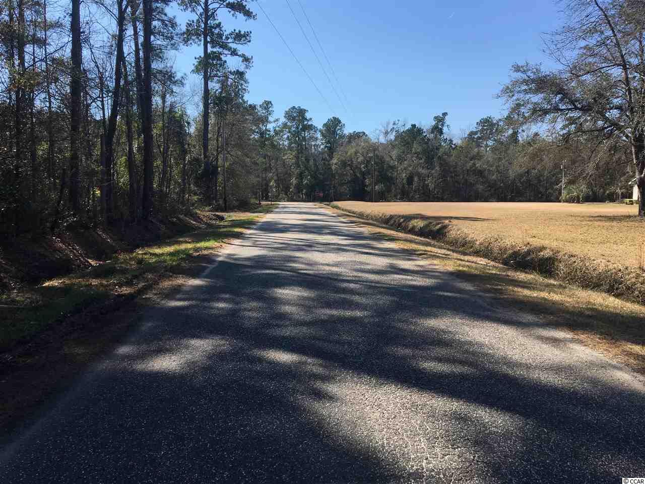 Tract B Choppee Road Georgetown, SC 29440 - Photo 6 of 8 Gallery Image 6