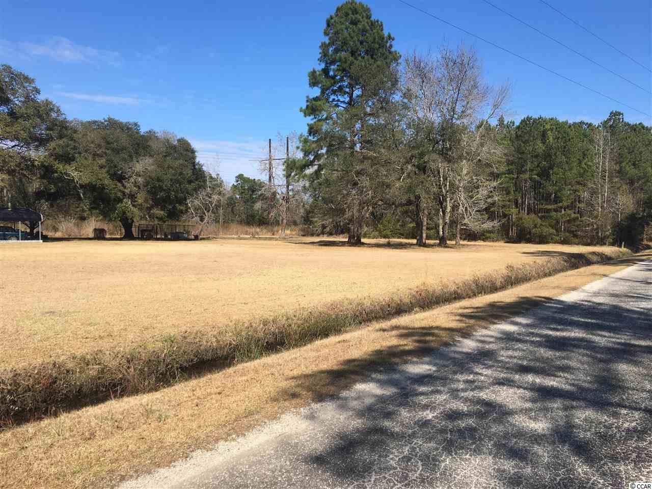 Tract B Choppee Road Georgetown, SC 29440 - Photo 7 of 8 Gallery Image 7