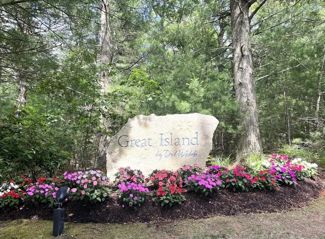 a view of a flowers in front of flowers