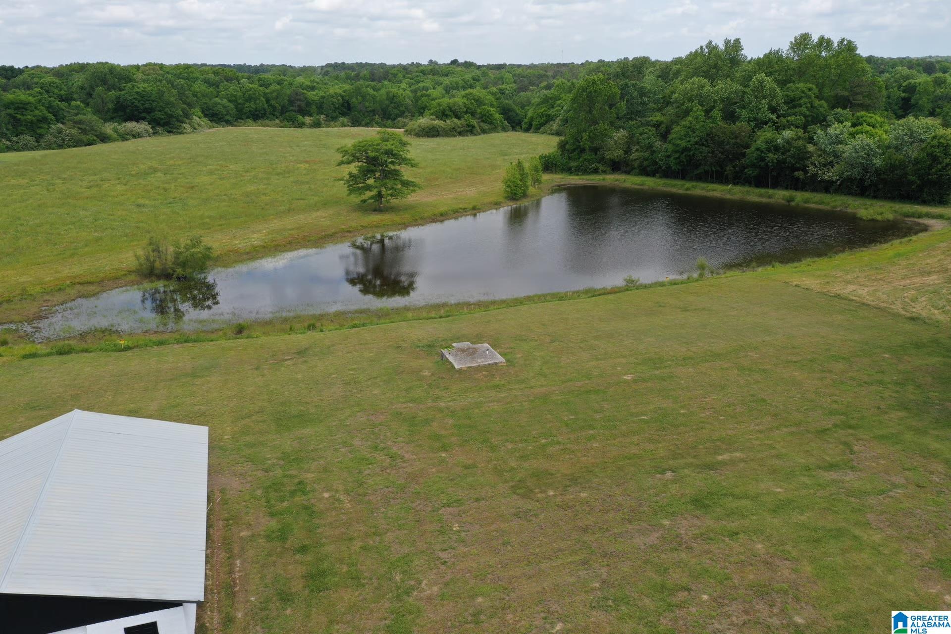 245 Schoolhouse Road Baileyton, AL 35019 - Photo 12 of 20
