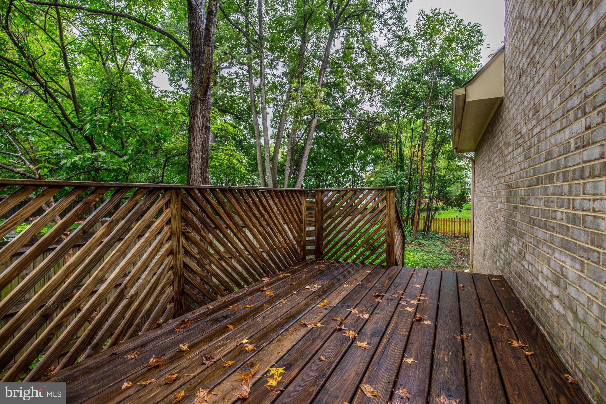4220 Scotland Road Alexandria, VA 22309 - Photo 25 of 26 Exterior (Rear)
