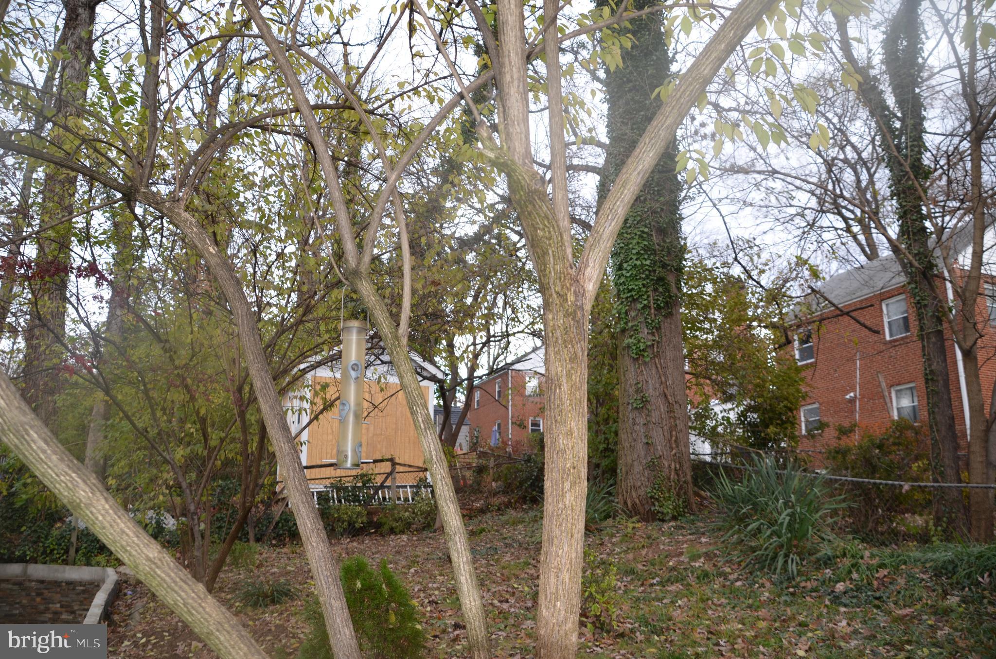 8709 Reading Road Silver Spring, MD 20901 - Photo 36 of 44 a view of a house with a tree in the background