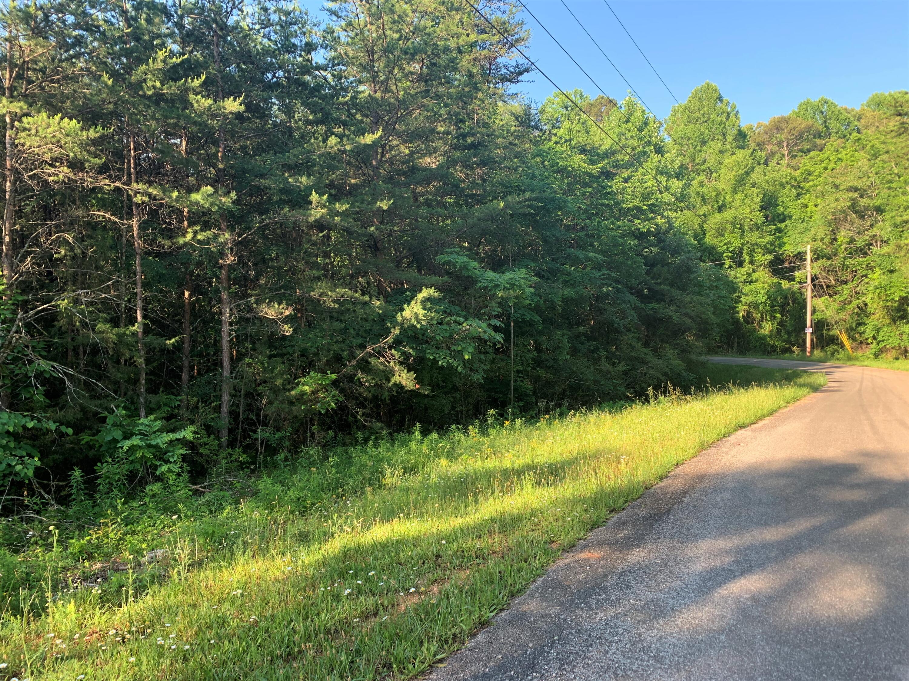 Lot 18 Tucson Road Newport, TN 37821 - Photo 1 of 5 02