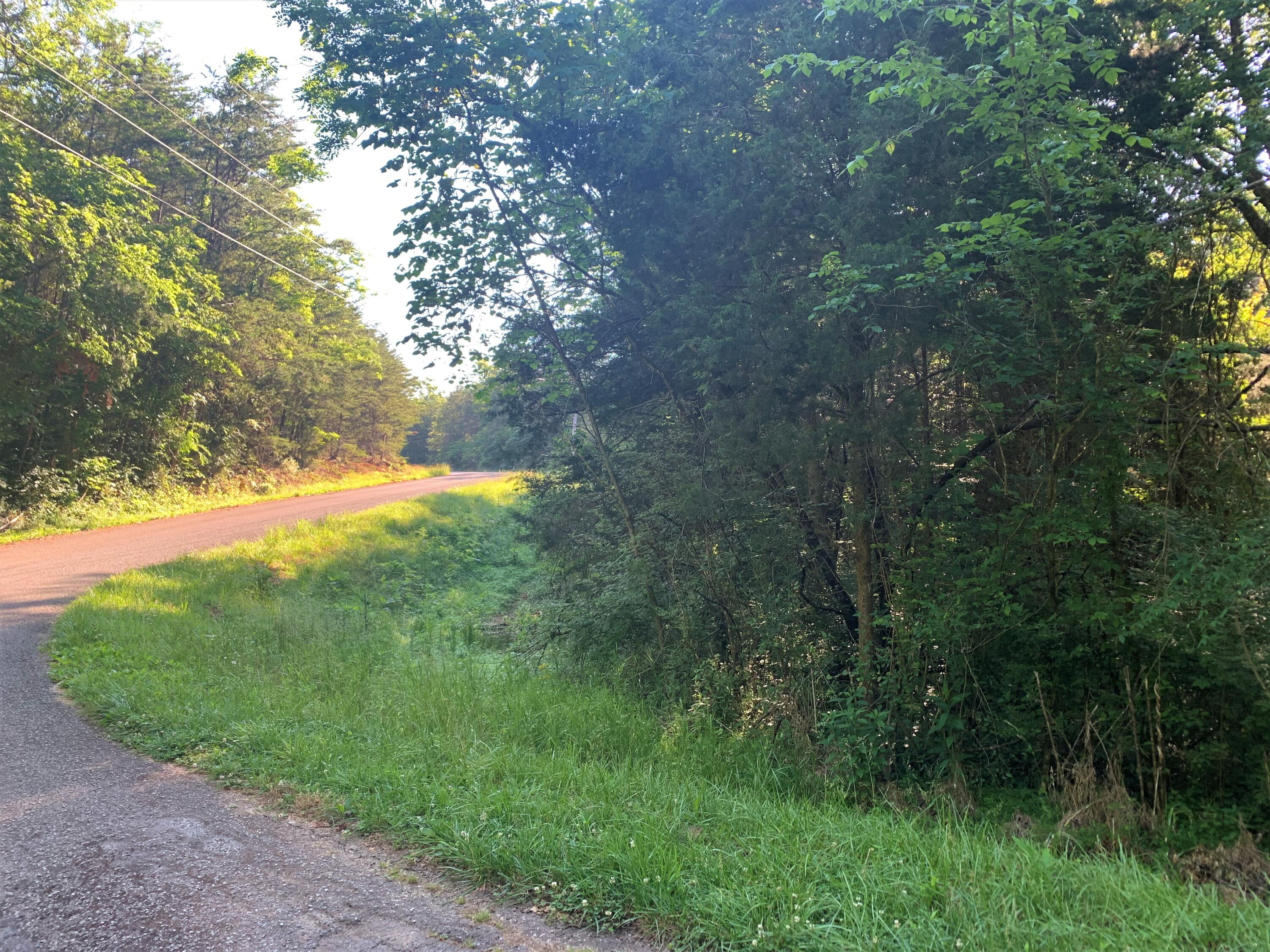 Lot 18 Tucson Road Newport, TN 37821 - Photo 3 of 5 03