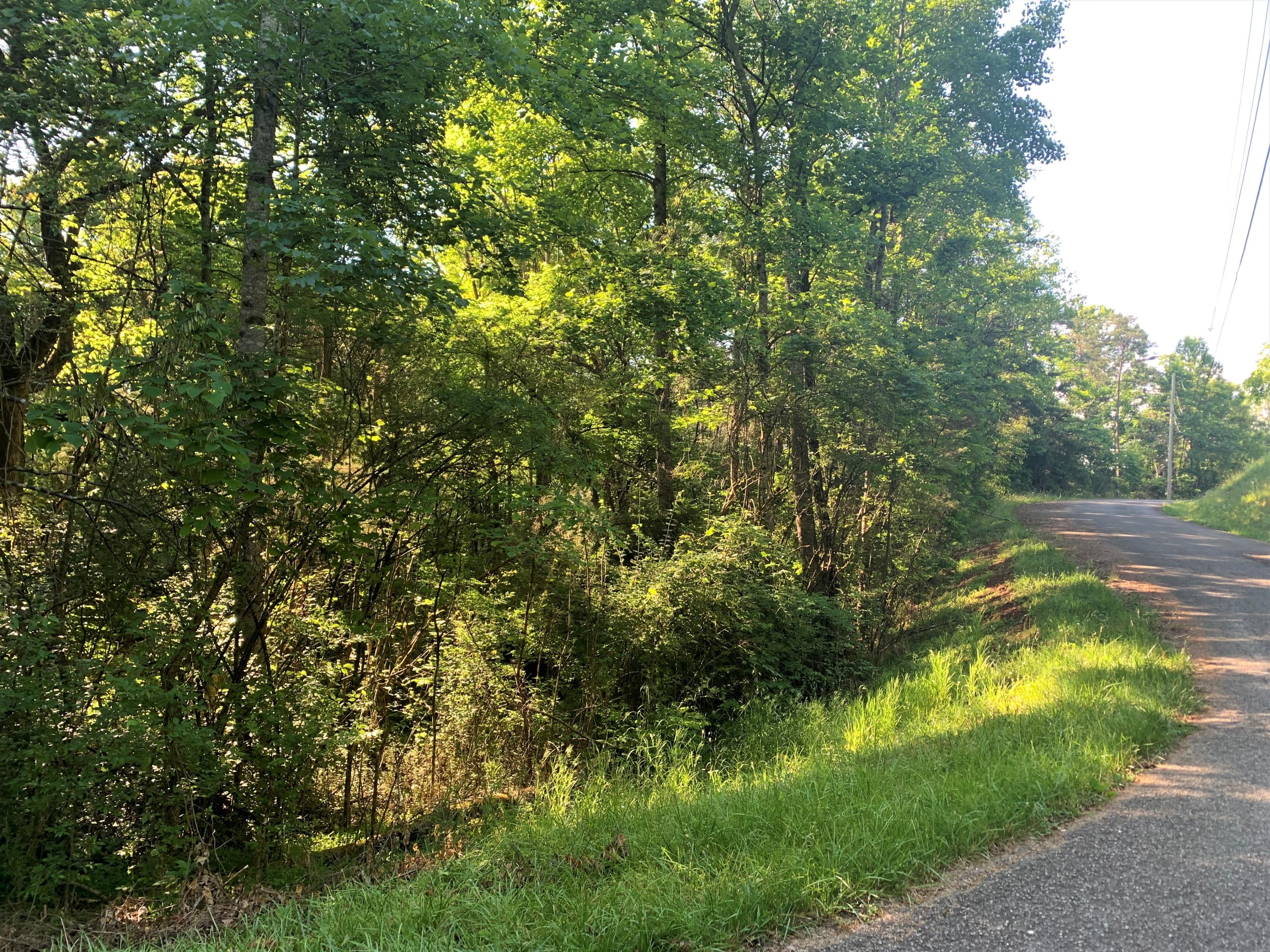 Lot 18 Tucson Road Newport, TN 37821 - Photo 4 of 5 04