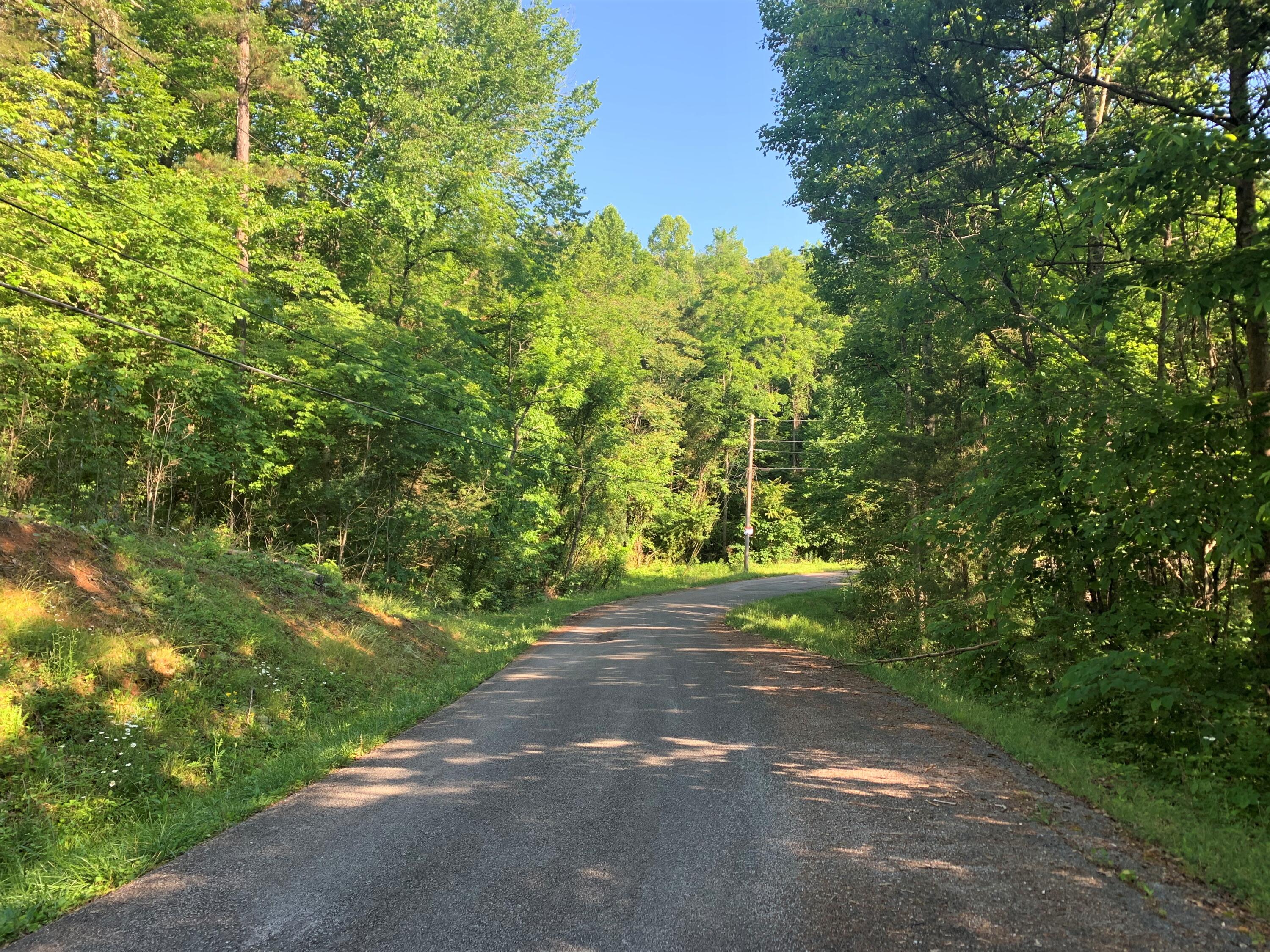 Lot 18 Tucson Road Newport, TN 37821 - Photo 5 of 5 05