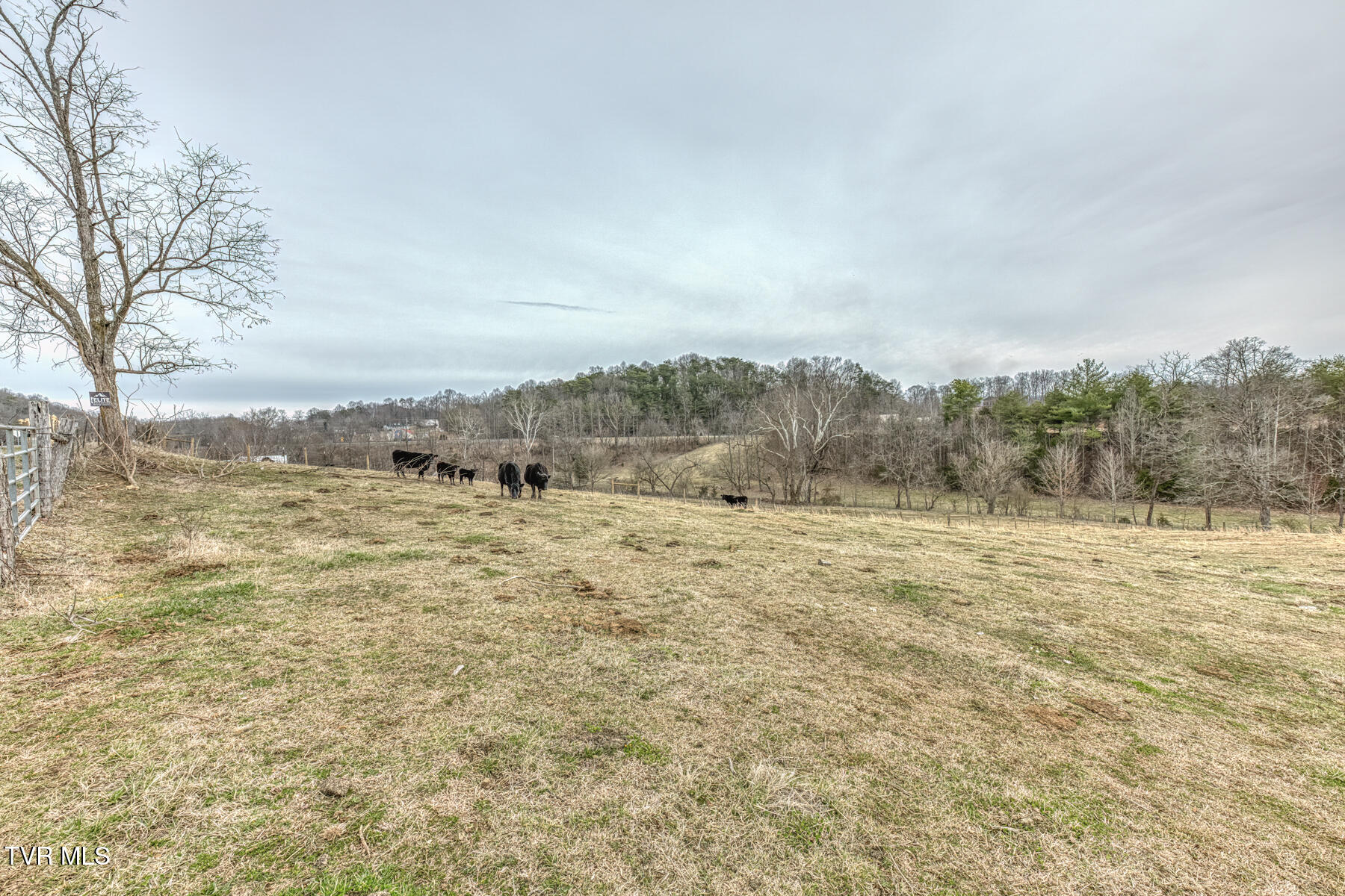 707 Egypt Road Bluff City, TN 37618 - Photo 8 of 16 Egypt Rd land 5