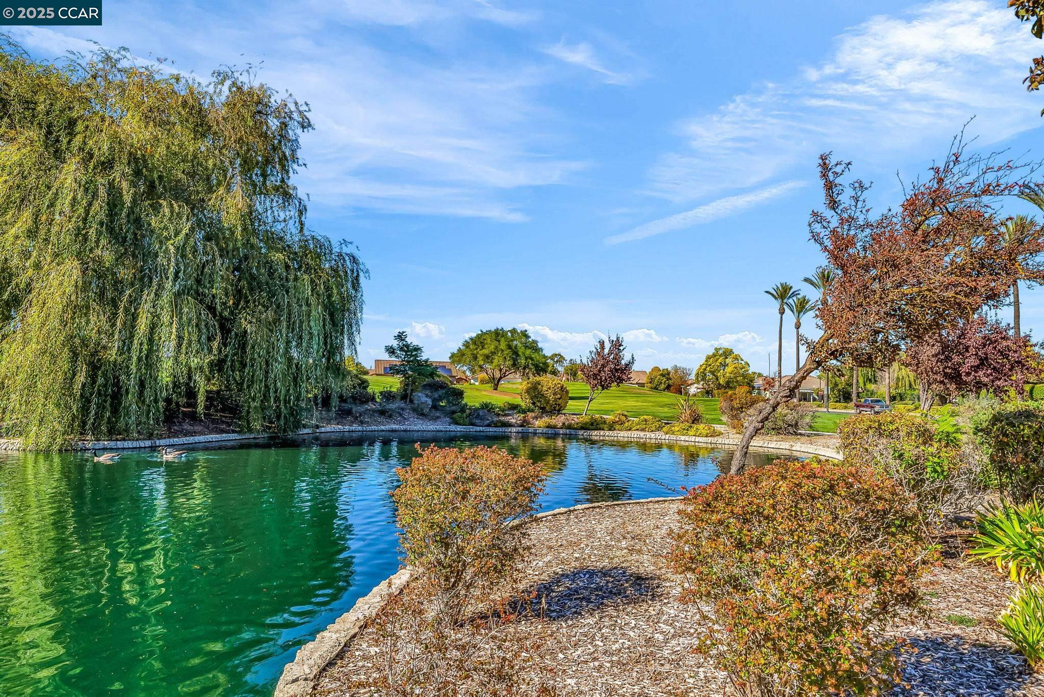 900 Brookside Lane Rio Vista, CA 94571 - Photo 56 of 60 a view of a lake with a house in the background