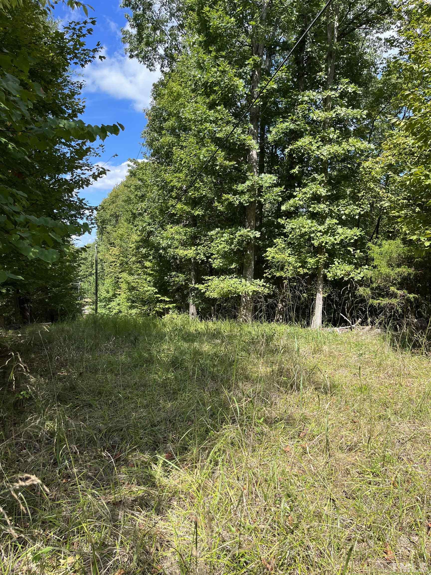 Tbd Semora Road Leasburg, NC 27291 - Photo 18 of 22 a view of a yard with plants and large trees