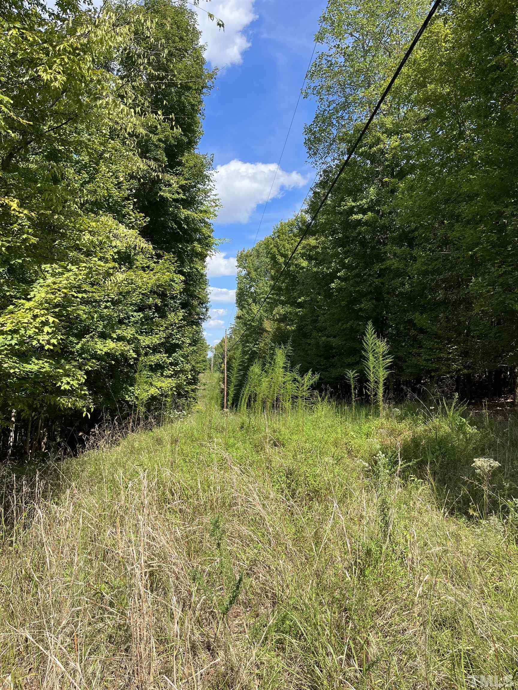 Tbd Semora Road Leasburg, NC 27291 - Photo 19 of 22 a view of a garden