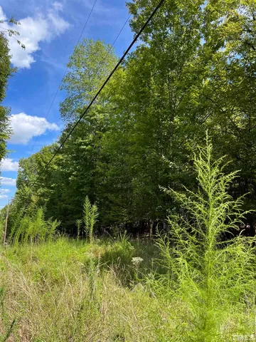 a view of yard with green space
