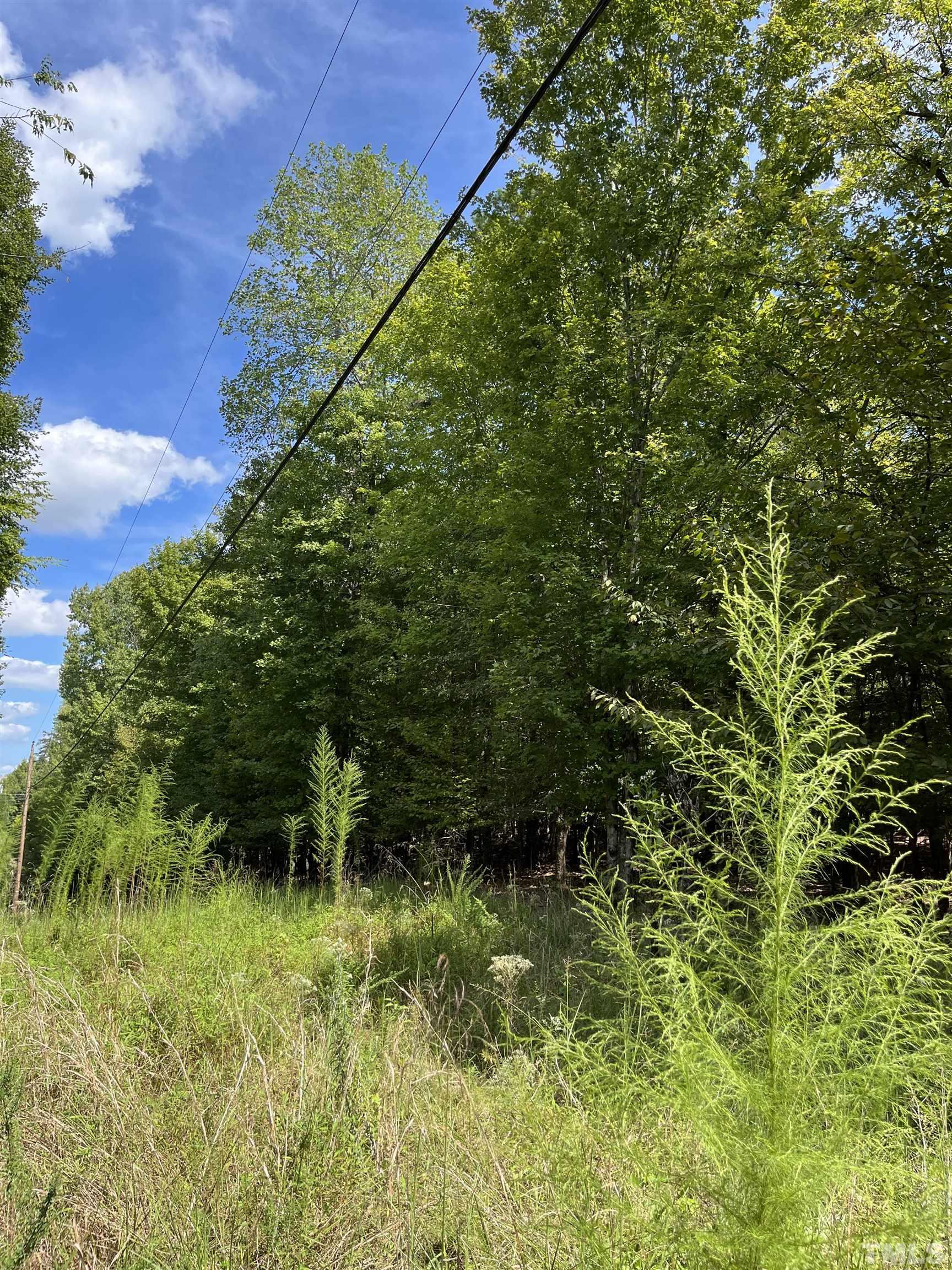 Tbd Semora Road Leasburg, NC 27291 - Photo 20 of 22 a view of a garden