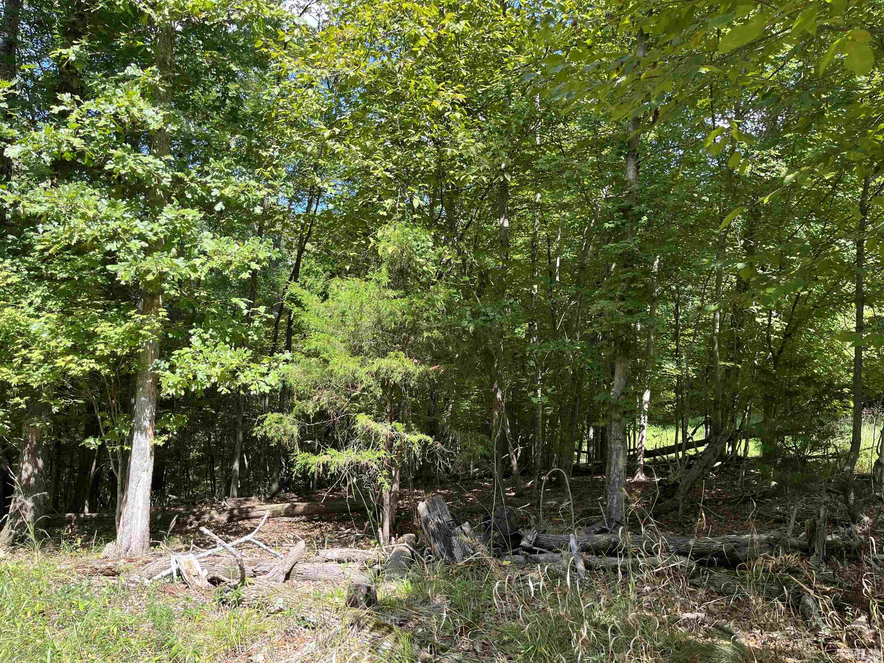 Tbd Semora Road Leasburg, NC 27291 - Photo 21 of 22 a view of a forest with trees