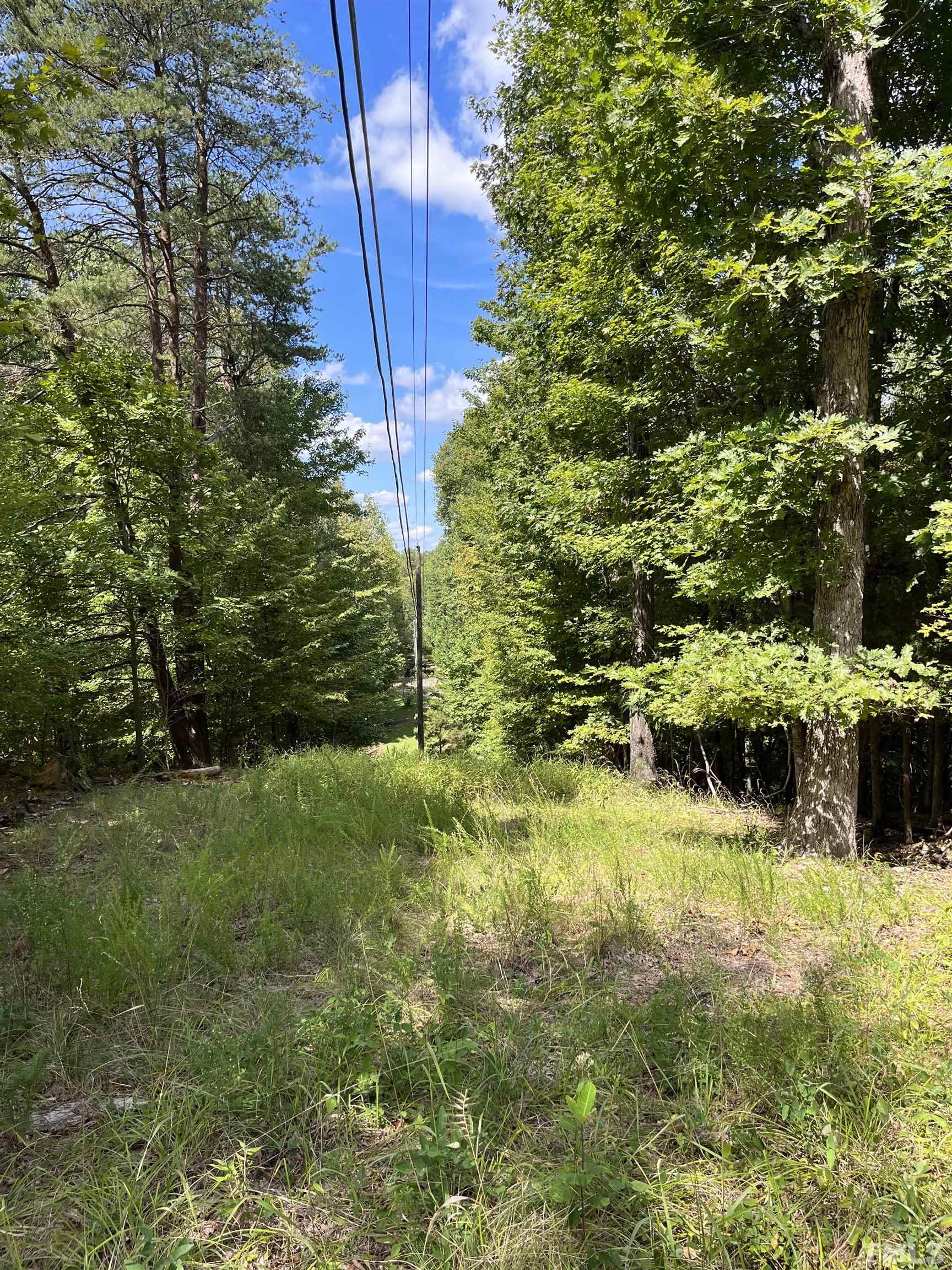 Tbd Semora Road Leasburg, NC 27291 - Photo 22 of 22 a view of yard with green space