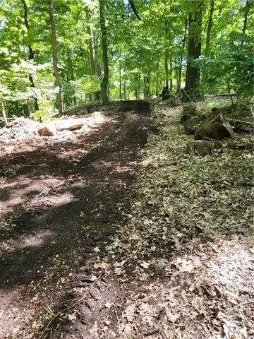 a view of outdoor space and yard