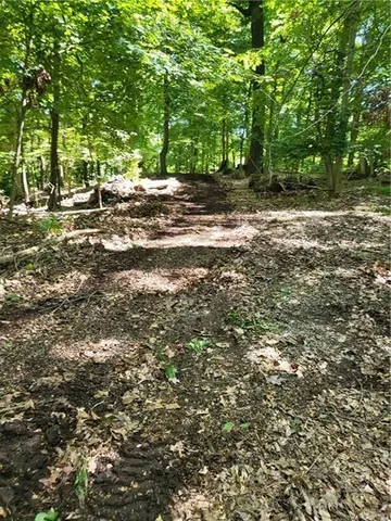 a view of outdoor space with trees