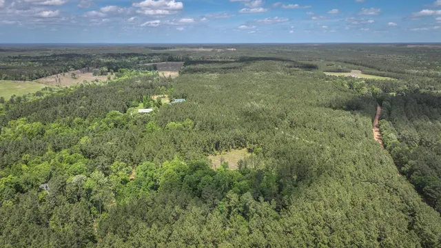 $1,375,000 | 2187 Nettles Cemetery Road, Livingston, TX 77351