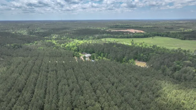 $1,375,000 | 2187 Nettles Cemetery Road, Livingston, TX 77351