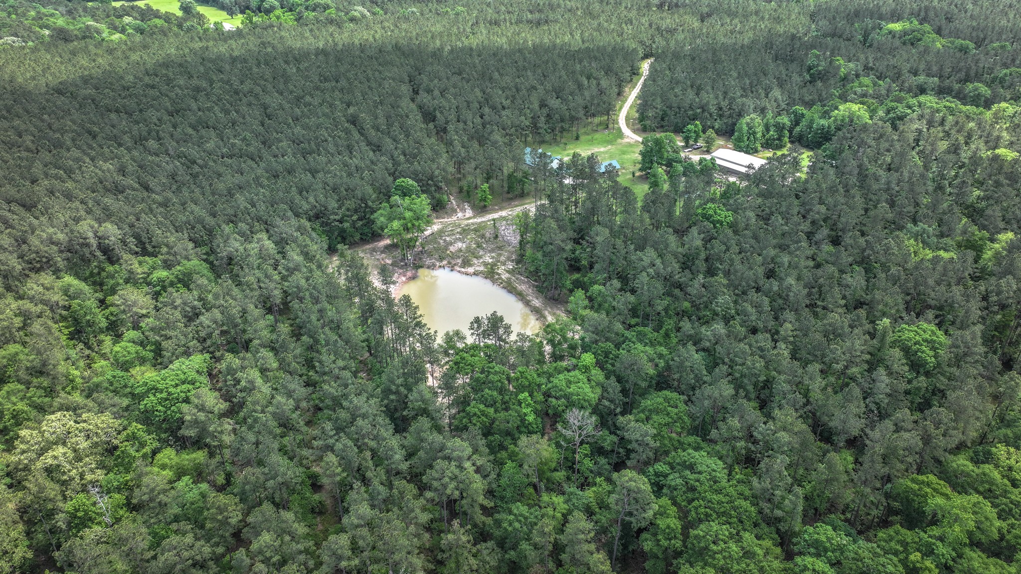 2187 Nettles Cemetery Road Livingston, TX 77351 - Photo 14 of 48